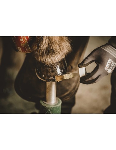 Onguent liquide Kevin Bacon's