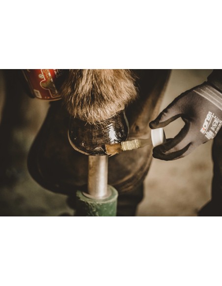 Onguent liquide Kevin Bacon's