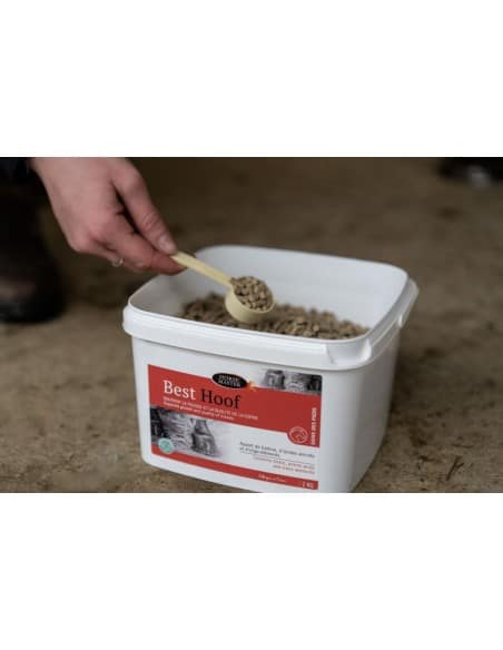 Biotine BEST HOOF Horse Master