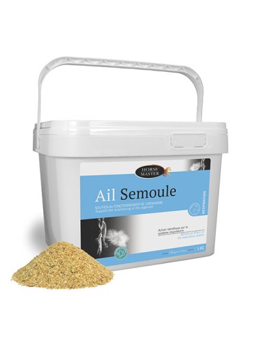 Ail Semoule Horse Master