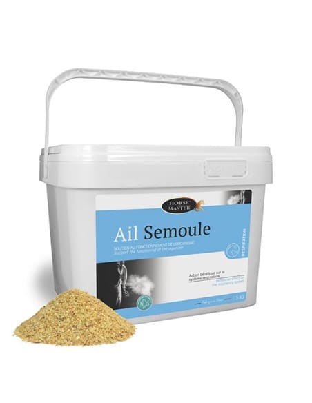 Ail Semoule Horse Master