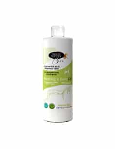 Gel TENGILEG GEL Horse Master | SSE