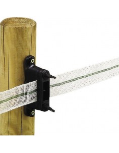 Isolateur à clouer RBCH Beaumont.