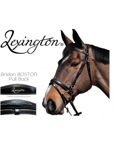 Bridon Boston Lexington Privilège Equitation.