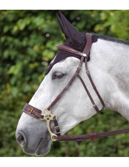 Montants de Hackamore  New English Collection DY'ON