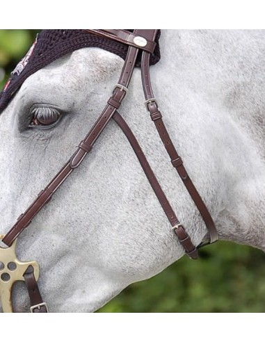 Montants de Hackamore  New English Collection DY'ON