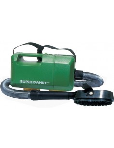 Aspirateur Dandy Boy Waldhausen