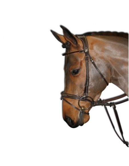 Bridon Wednesday Jump'In